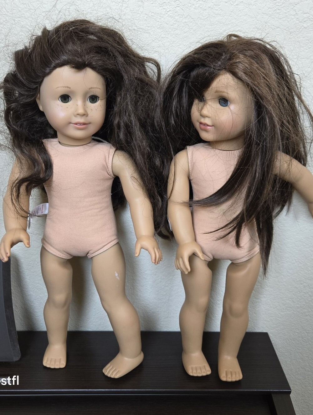 two American Girl Dolls 18"